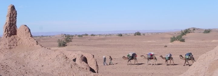 Randonnée dans le désert au Maroc