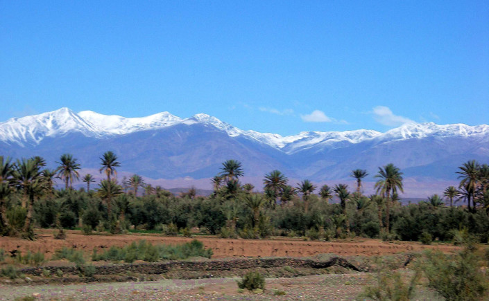 séjour spécial réveillon au coeur de l'oasis de skoura