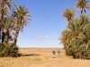 kasbahs-du-dades-au-dunes-et-oasis-du-draa-1