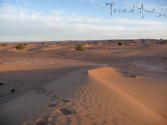 oasis-et-grandes-dunes-de-chegaga-8j-3-640px