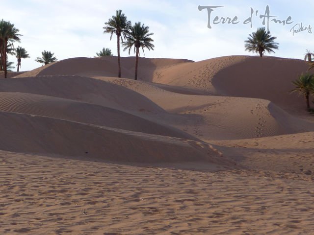 oasis-et-grandes-dunes-de-chegaga-8j-4-640px